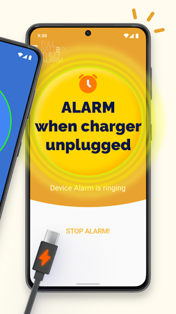 Full Battery & Theft Alarm 