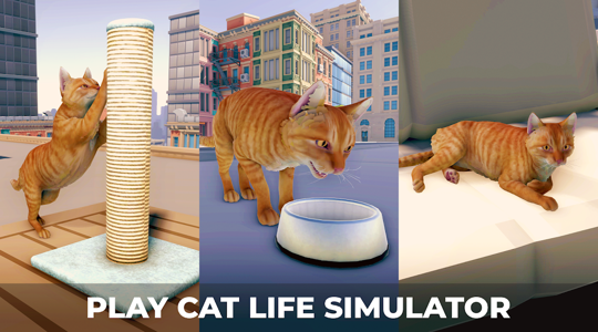 Cats Game - Survival Simulator 