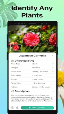 PictureThis - Plant Identifier 